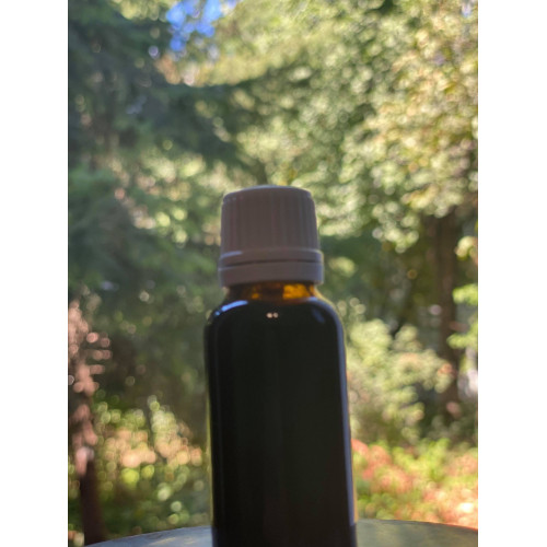 Tinctură de propolis - 20ml