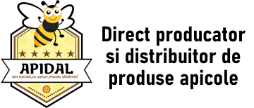 WEBDAL INTERNATIONAL SRL
